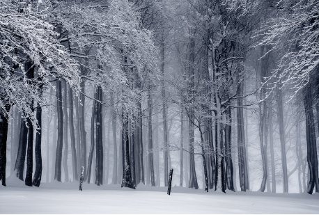 西安麦迪斯燃气热水器今天天气